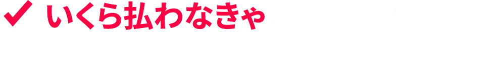 いくら払わなきゃいけないんだろう